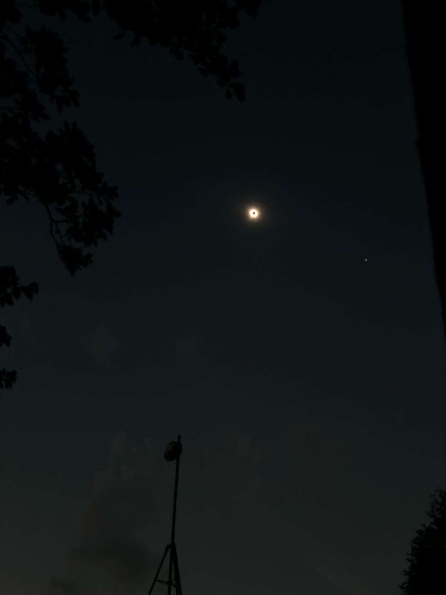 Solar Eclipse Shades