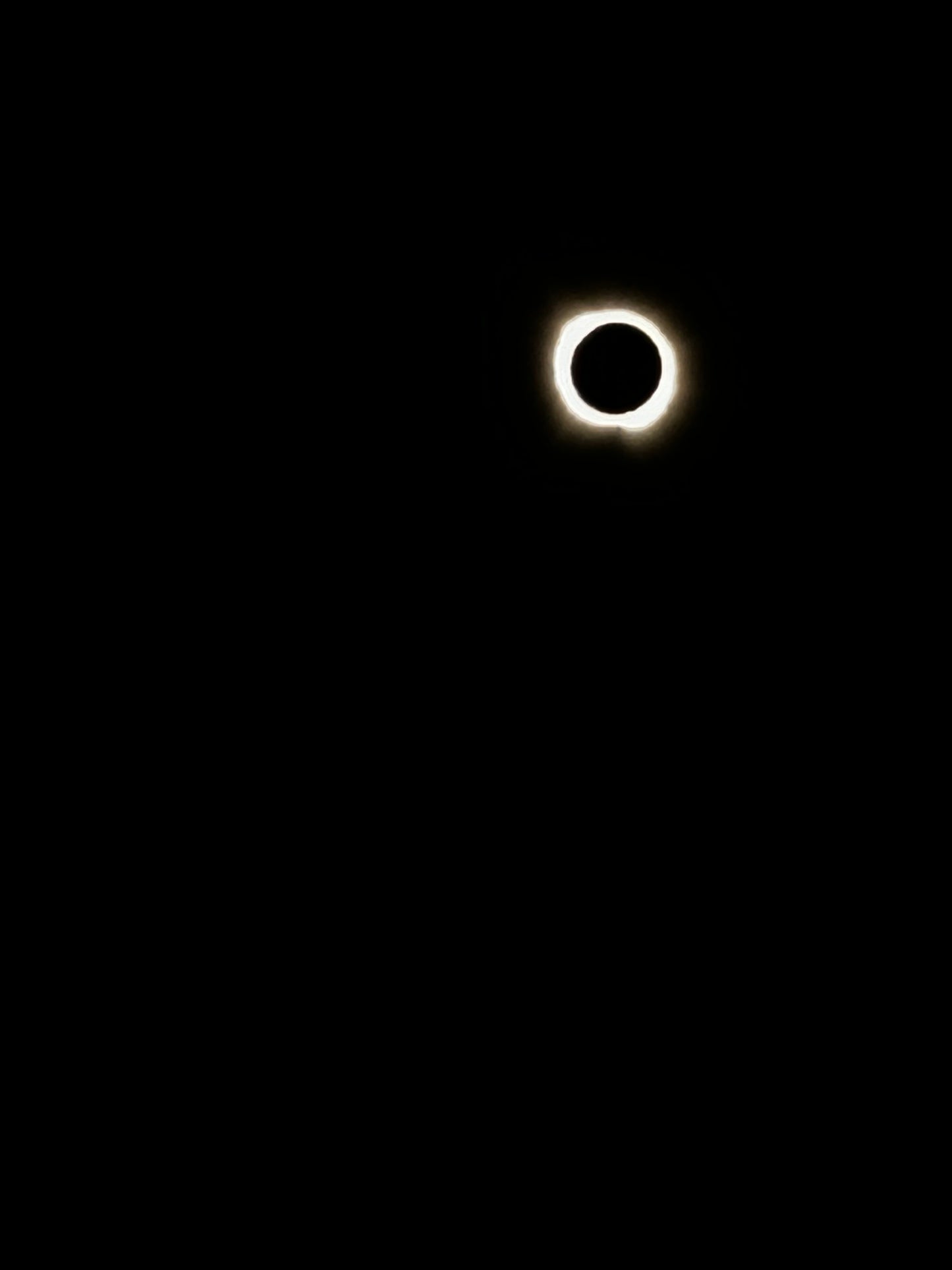 Solar Eclipse Shades
