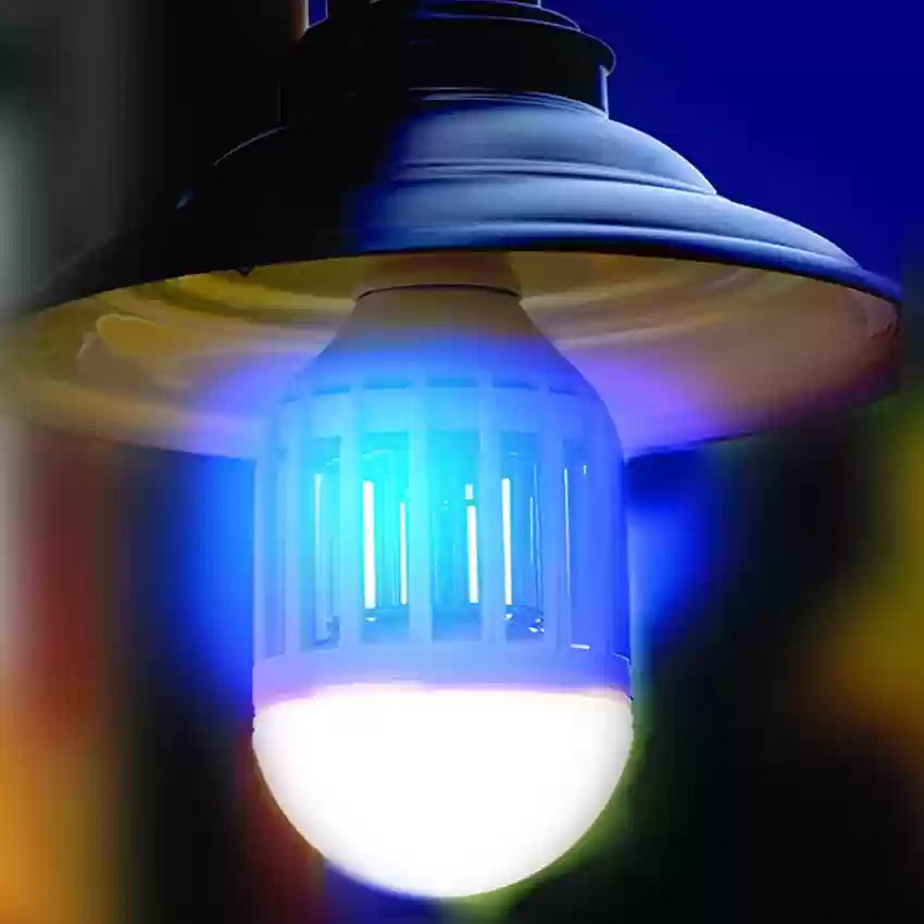ZappLight